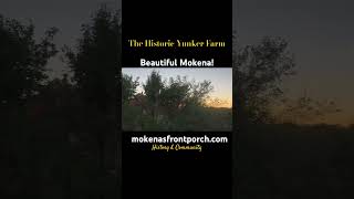 The historic McGovney Yunker Farm in Mokena at Sunset history [upl. by Aiuhsoj]