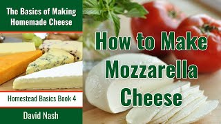 How to Make Mozzarella Cheese  30 Minute Mozzarella  Simple Awesome and Few Ingredients [upl. by Shayn]