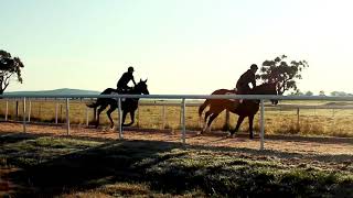 Yungaburra  EZRs country training base [upl. by Gnoz]