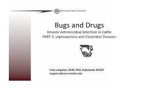 Empirical Antimicrobial Therapy in Cattle Part 5 Leptospirosis and Clostridia [upl. by Catherina]