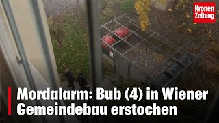 Mordalarm Bub 4 in Wiener Gemeindebau erstochen  kronetv NEWS [upl. by Woolley385]