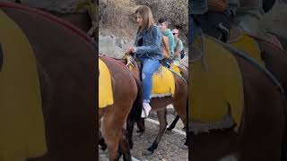 Santorini Donkey Ride travel greekisland [upl. by Nitfa]