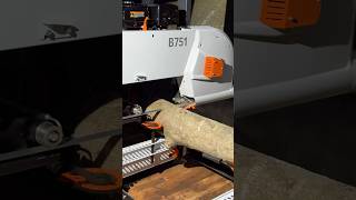 New Sawmill ireland sawmill timber logs holly woodwork machines bandsaw [upl. by Ddarb]