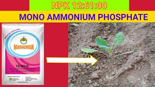 NPK126100  Mono Ammonium PhosphateFertilizersfull information [upl. by Thomasine]