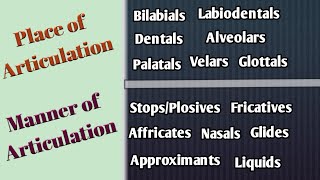 Place and Manner of Articulation in UrduHindi Articulatory Phonetics Speech Organs Speech Sounds [upl. by Akamaozu]