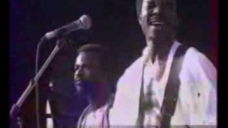 King Sunny Ade  Synchro System Live [upl. by Eniamrehc]