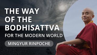 The Way of the Bodhisattva with Yongey Mingyur Rinpoche [upl. by Averi]