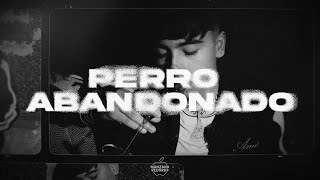 Ivan Cornejo  Perro Abandonado Video Con Letras [upl. by Aninahs]