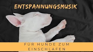 Entspannungsmusik für Hunde zum Einschlafen  Beruhigende Schlafmusik für Hunde [upl. by Adamok525]