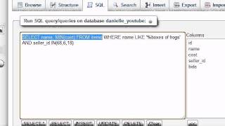 MySQL Database Tutorial  21  Another Subquery Example [upl. by Yetac733]