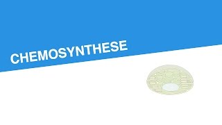 CHEMOSYNTHESE  Biologie  Stoffwechselbiologie [upl. by Leraj]