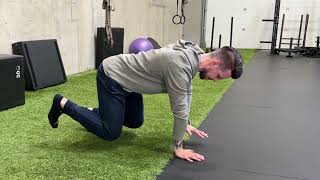 Beast Plank with Contralateral Lifts [upl. by Boony]