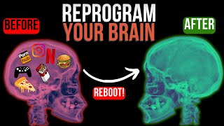 How to Reprogram Your Brain for Success Lessons from Dr Joe Dispenza [upl. by Andert130]