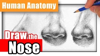 How to Draw a Nose the Easy Way  Different Angles [upl. by Cartwright]