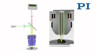 Confocal Microscopy [upl. by Ylrebmit]