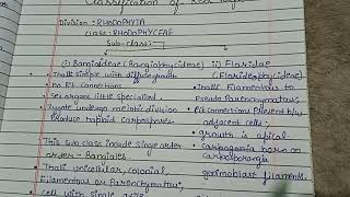 Classification of Rhodophyta  classification of Red algae Red Algae [upl. by Hercule102]