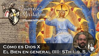 Cómo es Dios X El Bien en general III  Quaerere Veritatem 37 [upl. by Evars507]