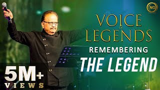 Remembering the Legend  SP Balasubrahmanyam  Voice of Legends  Noise and Grains [upl. by Alegnaoj]