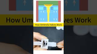 The Unique Working Mechanism of the Umbrella Valve Valves Industrial Machinery KnowledgeBoost [upl. by Georgeanne]