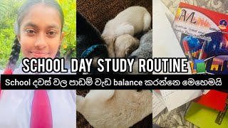 STUDY VLOG 📚  school day study routine  තවත් ඉස්කෝලේ දවසක් 🌻😍 studyvlog study viral [upl. by Bardo355]