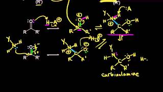 Formation of imines and enamines  Aldehydes and ketones  Organic chemistry  Khan Academy [upl. by Eicyac]