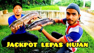 Sauk Ikan Haruan Dan Toman Bersama Long Tiger gengdunia [upl. by Laverna715]