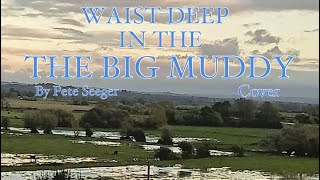 Waist deep in the big muddy guitar cover [upl. by Nillor]