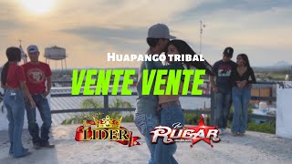 Huapango Tribal Vente Vente [upl. by Nema359]