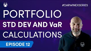 StepbyStep Portfolio Std Dev and VaR Calculations  Value at Risk [upl. by Eelnyl]