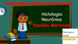 Histologia do Tecido Nervoso Neurônios [upl. by Lemaceon]