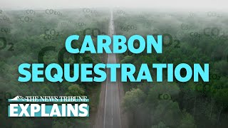 What Is Carbon Sequestration [upl. by Rehtaef]