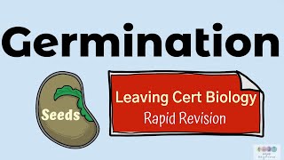 Germination Biology Bugbears Rapid RevisionLeaving Cert Biology 2025 Plant Reproduction [upl. by Leumas]