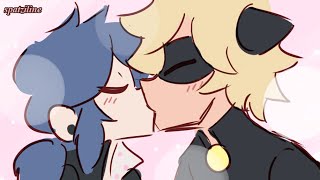 Chat Noir confesses to Marinette Marichat Miraculous Ladybug Comic [upl. by Malley]