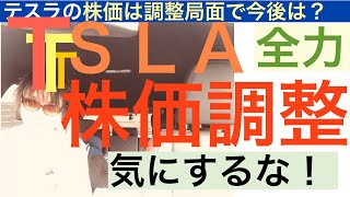 TSLAテスラ株売るな。株価の調整下落もガチホする理由を解説【全力】株価下落と今後の予想。恐怖と狼狽売り？ [upl. by Wincer]