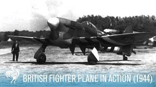 British RAF Hawker Tempest Fighter Plane in Action 1944  British Pathé [upl. by Akerdal]