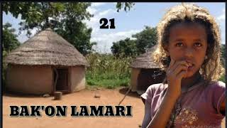 BAKON LAMARI part 21 Hausa Novels Audio [upl. by Adebayo]