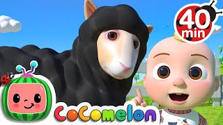 Baa Baa Black Sheep Song  More Nursery Rhymes amp Kids Songs  CoComelon [upl. by Auliffe]