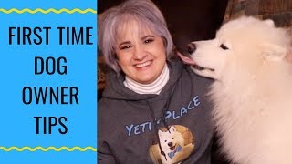 Tips For First Time Samoyed Owners [upl. by Liederman660]