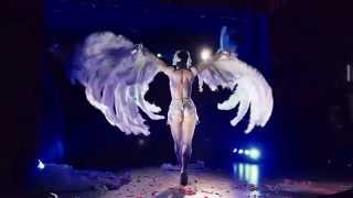 Toronto Burlesque Festival 2015  Opening Bash  Vicky Butterfly [upl. by Estrellita]