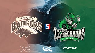 Honey Badgers V Leprechauns  Div 5  25th July  IceHQ Beer League ice hockey [upl. by Nadler504]