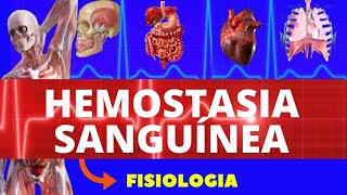 COAGULAÇÃO SANGUÍNEA  FISIOLOGIA SANGUÍNEA HEMOSTASIA PRIMÁRIA E SECUNDÁRIA  ENSINO SUPERIOR [upl. by Trefler]