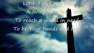 Life Song  Casting Crowns [upl. by Laux]