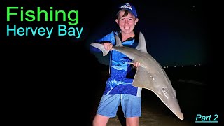 Fishing Hervey Bay  Land Based Session 02 [upl. by Akimak775]