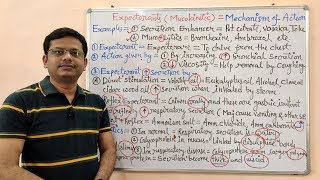 Expectorant and Antitussive Part04 Mechanism of Action of Expectorants and Mucolytic Drugs [upl. by Nowd191]