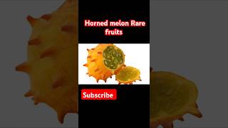 Horned melon trending trendingshorts viralshorts viralshort funny fun funnyshorts facts [upl. by Mitchell556]