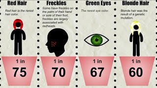 Probability Comparison Genetics [upl. by Luar6]