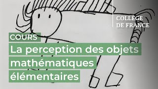 La perception des objets mathématiques élémentaires 2  Stanislas Dehaene 20232024 [upl. by Ayel]