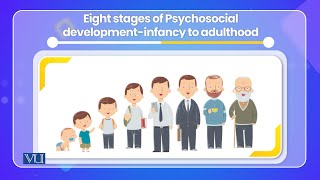 Eriksons Stages of Psychological Development  Cross Cultural Psychology  PSY515Topic074 [upl. by Shaffer]