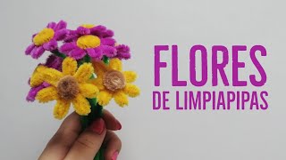 Cómo hacer Flores con Limpiapipas [upl. by Allebara840]