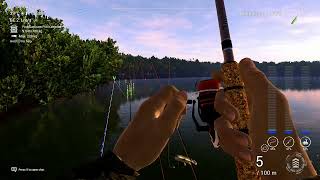 Fishing Planet  Blue Crab  Bowfin Trophy [upl. by Lionello413]